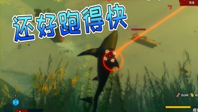 虎鲸vs食人鲨视频直播,海洋霸主的真实对决,谁才是王者? 虎鲸vs食人鲨视频直播,海洋霸主的真实对决,谁才是王者?